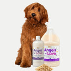 Oatmeal Conditioner - (16 oz)