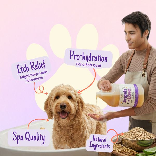 Oatmeal Conditioner - 1 Gallon