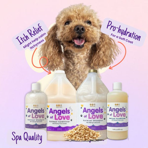 Oatmeal Conditioner - (16 oz)