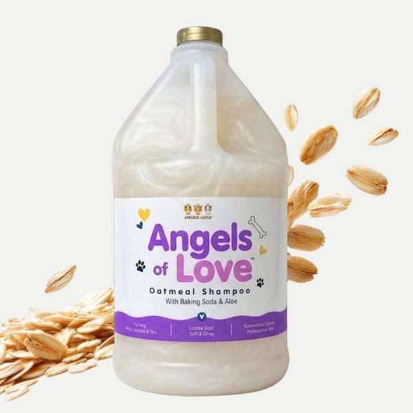 Oatmeal Shampoo – 1 Gallon