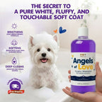Purple Shampoo – (16oz)