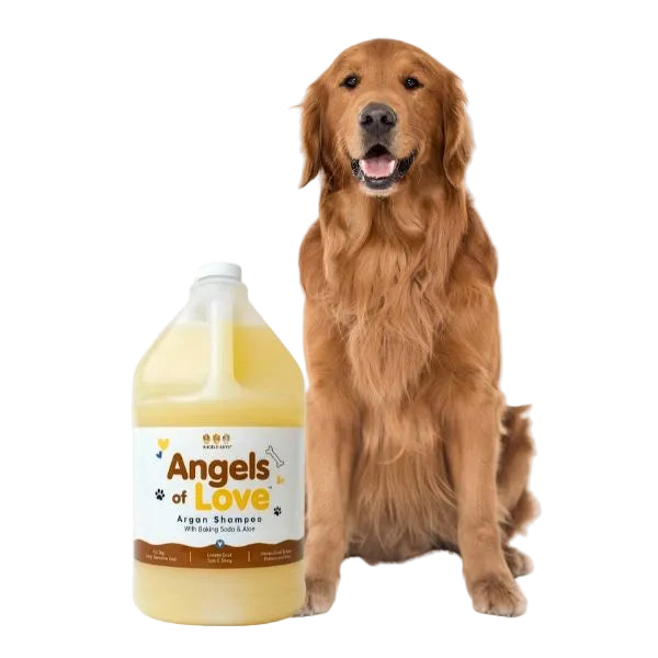 Argan Shampoo – 1 Gallon