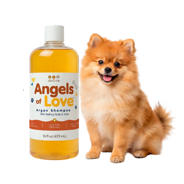 Argan Shampoo –  (16 oz)