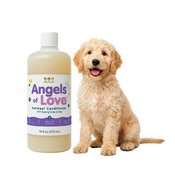 Oatmeal Conditioner - (16 oz)