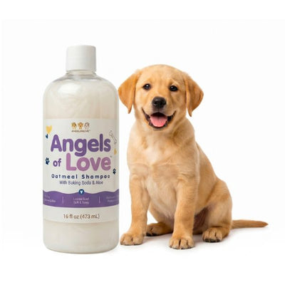 Oatmeal Shampoo – (16 oz)