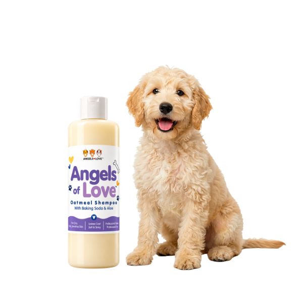 Oatmeal Shampoo for Dogs – (16 oz)