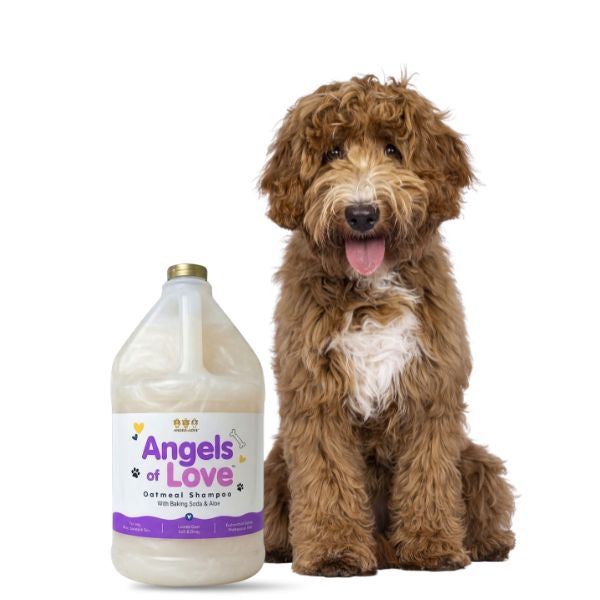 Oatmeal Shampoo – 1 Gallon