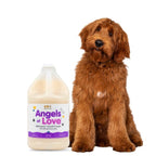 Oatmeal Conditioner - 1 Gallon