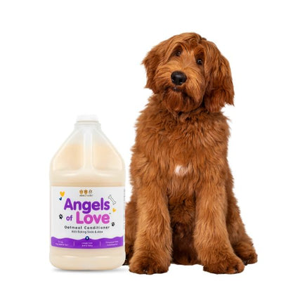 Oatmeal Conditioner - 1 Gallon