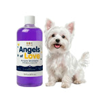Purple Shampoo – (16oz)