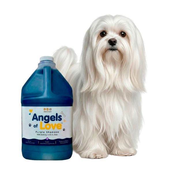 Purple Shampoo - 1 Gallon