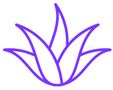 Purple aloe vera plant icon on a white background